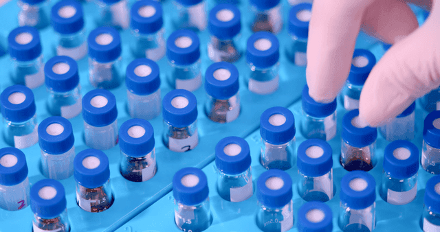 Vial glass containers arranged on a laboratory tray
