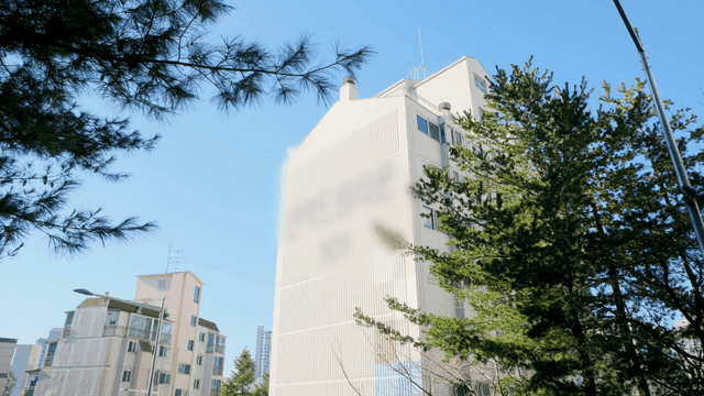 Tall apartments surrounded by pine trees