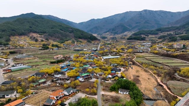 산으로 둘러싸인 시골 마을