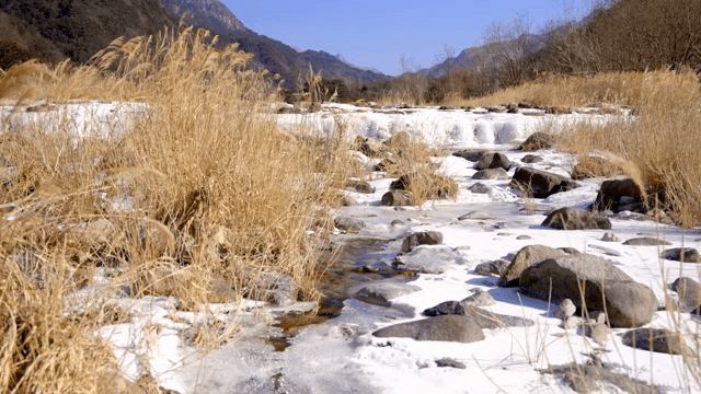 Water flowing through frozen streams