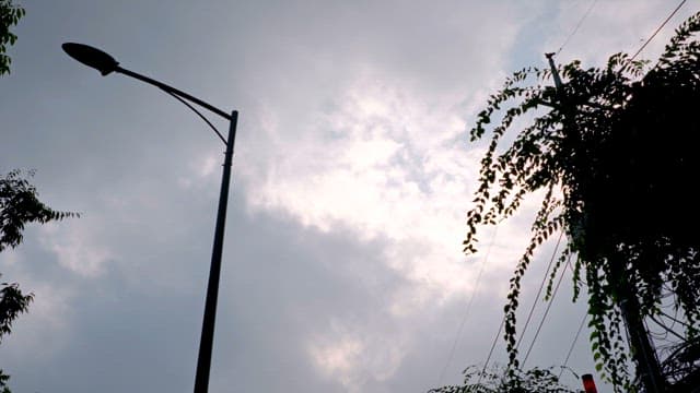 Cloudy sky over streetlights and trees