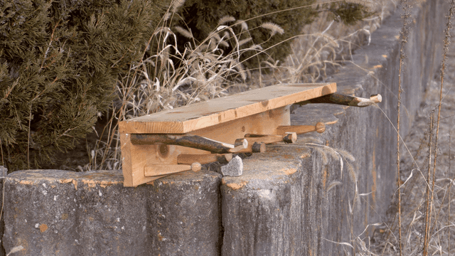 시든 정원 울타리에 놓인 나무 거치대