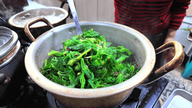 냄비에서 데쳐지는 신선한 시금치