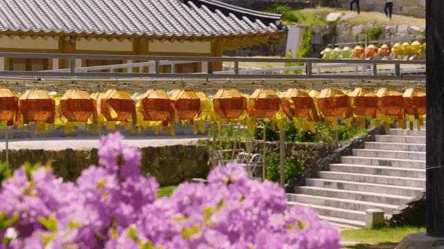 사찰의 형형색색의 연등과 꽃