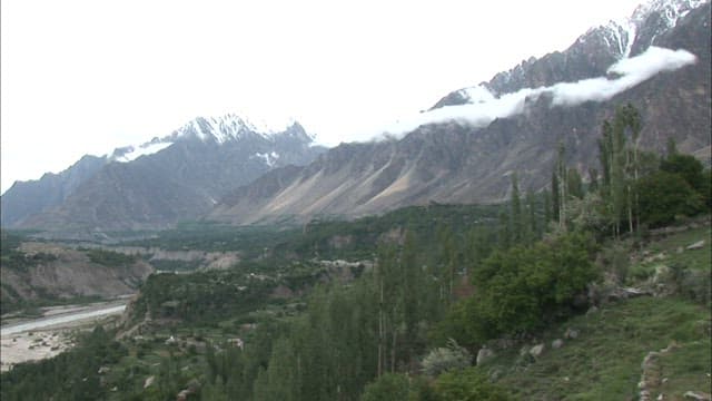 안개 낀 산과 울창한 계곡 풍경