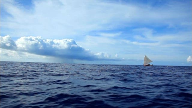 바닷속에서 보는 배 밑