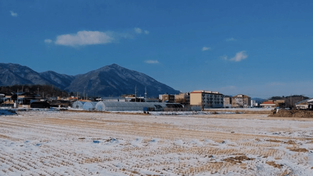 눈 덮인 들판과 먼 산