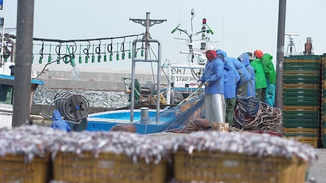 이른 아침 항구에 놓인 어획물과 그물을 정리하는 어부들