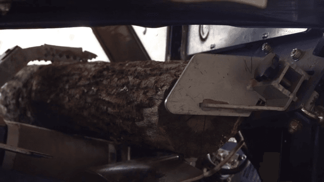 Wood log being processed in a machine