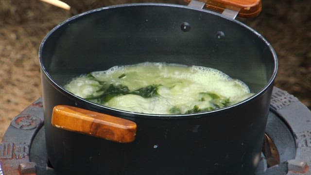 Flounder in a pot of boiling seaweed soup