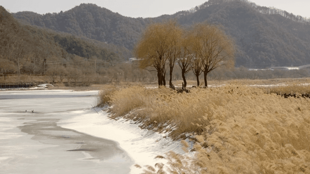 Serene winter landscape with a frozen river