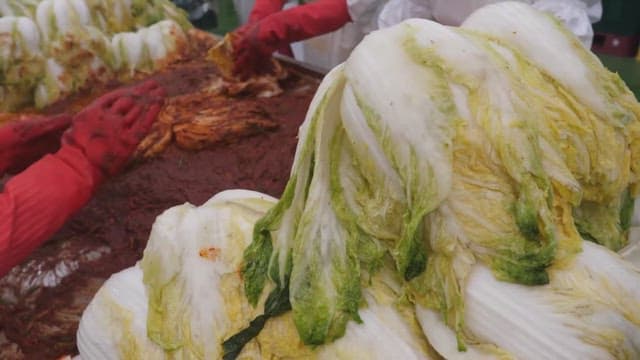 Making kimchi by adding chili pepper seasoning to cabbage