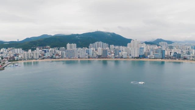 높은 건물과 긴 다리가 보이는 광활한 바다