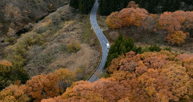 가을 숲을 지나는 구불구불한 도로