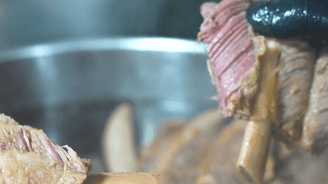 Gloven hands tearing away tender meat