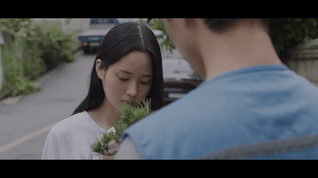 배달원에게 식물을 건네받은 여성