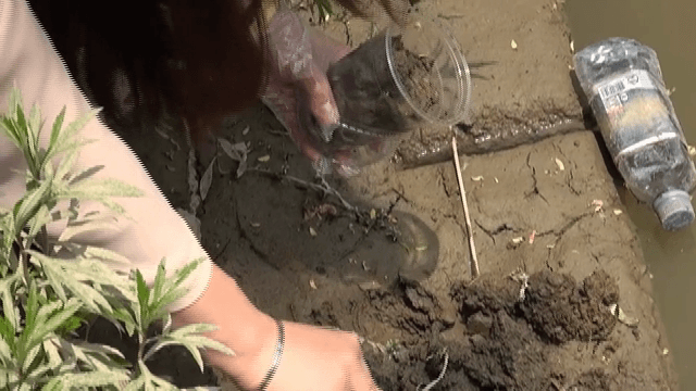 물가에서 토양 샘플 수집