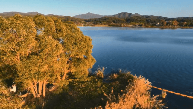 아름다운 나무들이 보이는 고요한 호수
