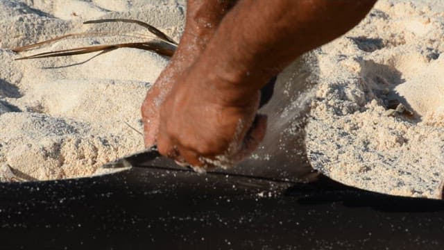 Man cutting off a fish's fin on a sandy beach