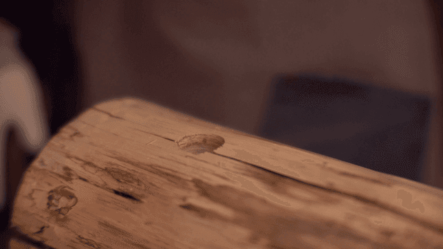 구멍이 뚫린 나무 통나무