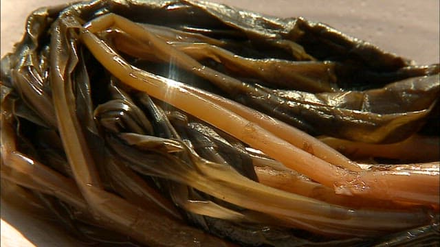 Pickled garlic leaves in soy sauce, plated deliciously