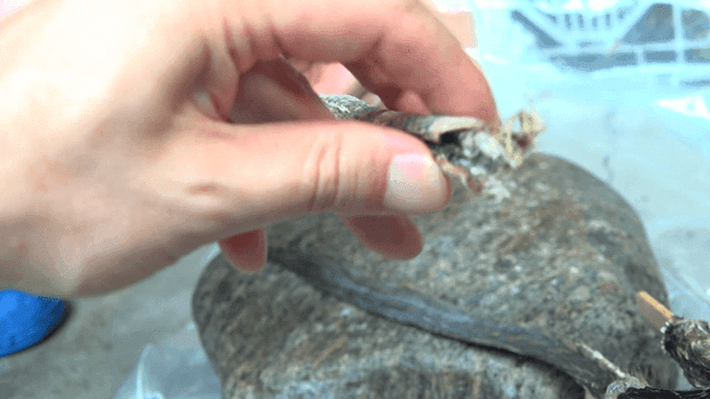 망치로 펴지는 말린 대갱이를 만지는 손