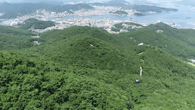 도시와 숲 위를 지나는 케이블카