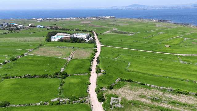 Wide green fields next to sea