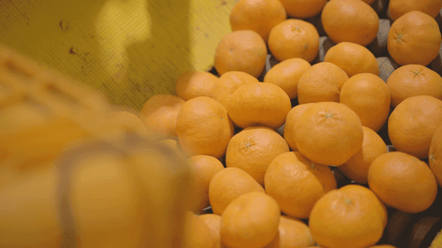Fresh tangerines on conveyor belt