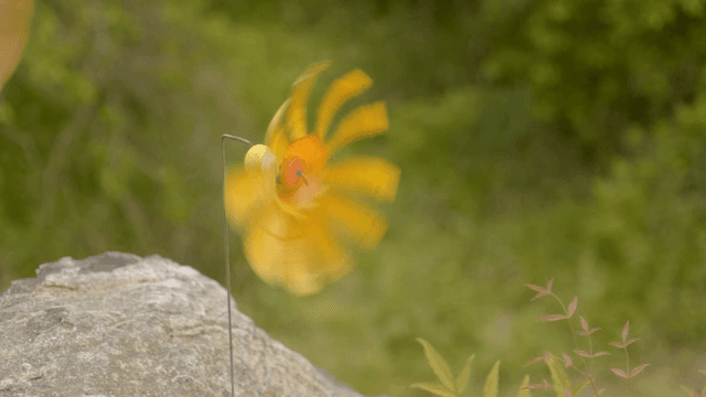 바람에 돌아가는 노란 바람개비