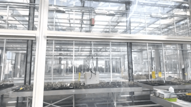 자동화된 식물 시스템이 있는 현대식 온실