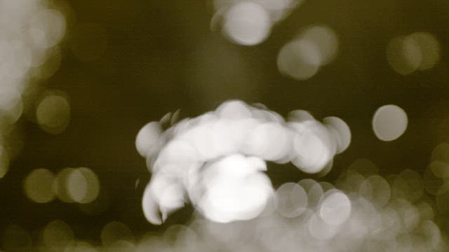 어두운 밤에 밝은 조명을 반사하는 비웅덩이