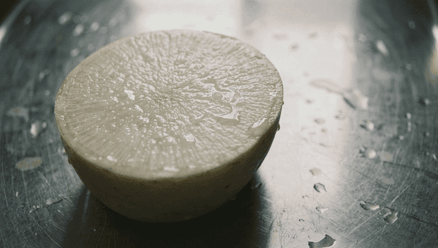 젖은 금속 표면 위의 신선한 무