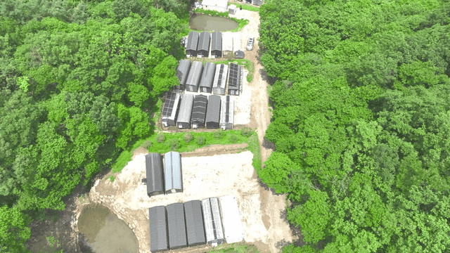 숲으로 둘러싸인 농장의 항공 뷰