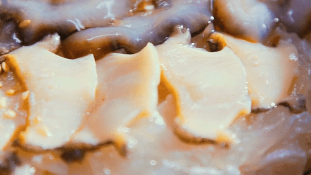 접시에 담긴 신선한 전복