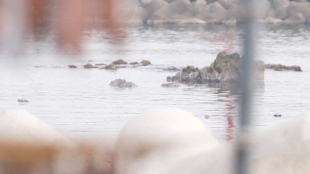 물가 근처 건조대에 말리고 있는 생선