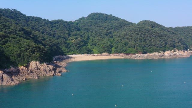 울창한 숲으로 둘러싸인 평화로운 바다 해변