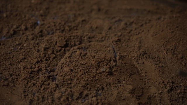 흙 위에서 피어오르는 불꽃