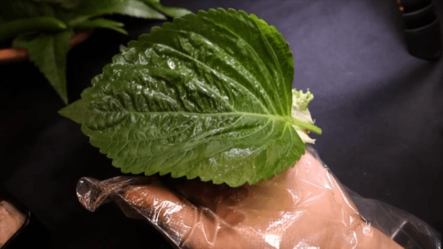 다양한 채소를 넣어 준비하는 한국식 쌈