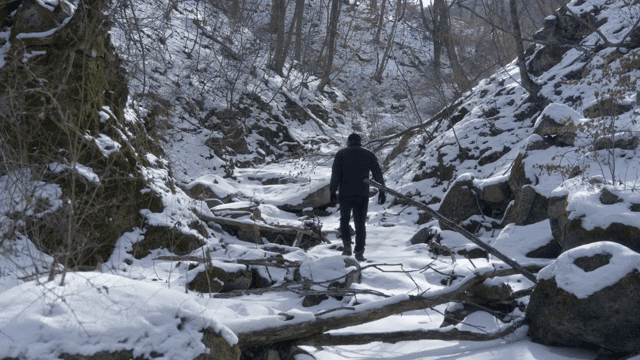 눈 덮인 숲을 걷는 사람