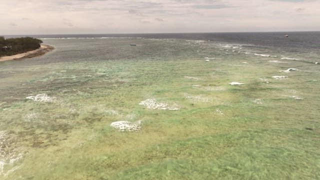 Aerial View of Coastal Waters and Shoreline