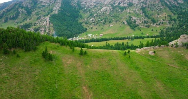 Vast green landscape with mountains