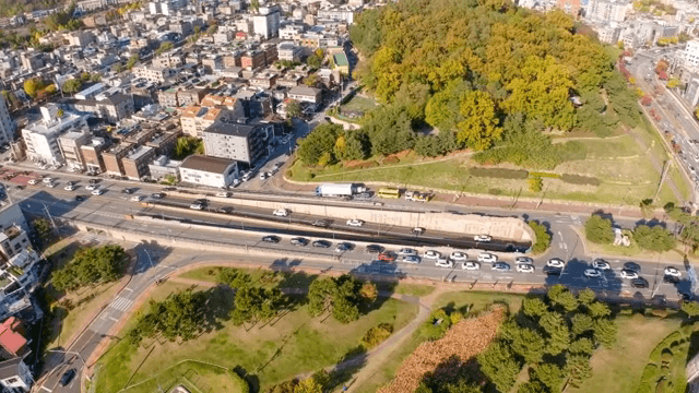 녹지가 있는 도시의 항공 뷰