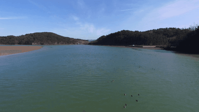 Calm river flowing with mountains in the background