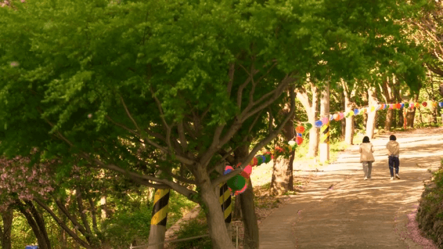 Path in the forest with colorful lanterns