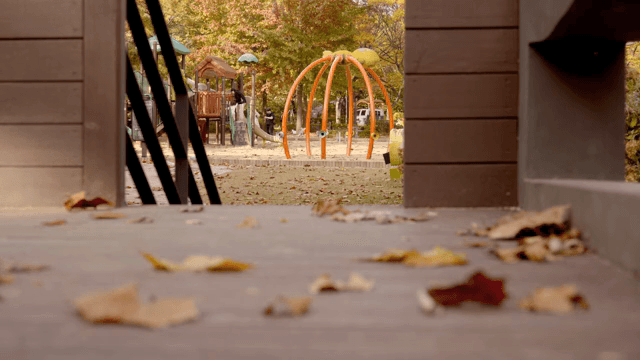 Playground in autumn with fallen leaves