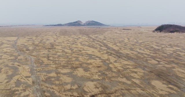 멀리 언덕이 보이는 넓은 들판