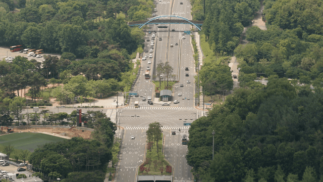 나무로 둘러싸인 번화한 교차로
