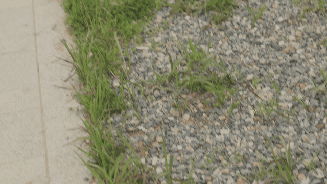 Land marked with stakes and markings