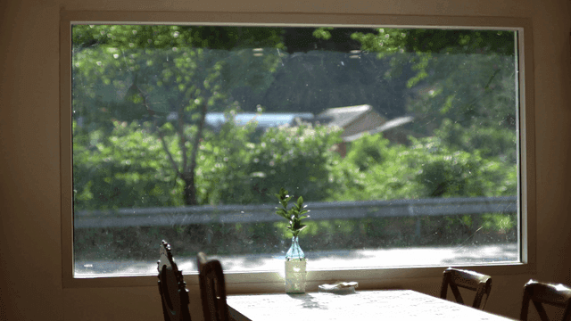 화병에 식물이 있는 햇살 가득한 테이블